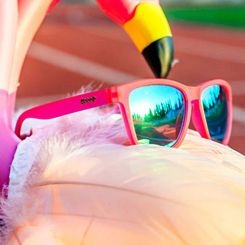 FLAMINGOS ON A BRUIZE CRUISE